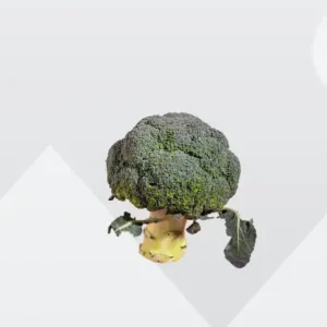 BROCOLI POR 1/2 KG  /JORGE MOLINA GARCIA