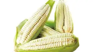 CHOCLO COCHABAMBINO POR UNIDAD / VALLE LA RINCONADA