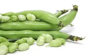 HABA EN VAINA POR 1/2 KG /  VALLE LA RINCONADA