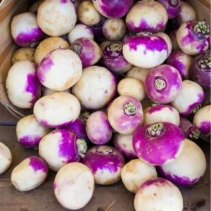 NABO REDONDO POR KG/ JORGE MOLINA GARCIA