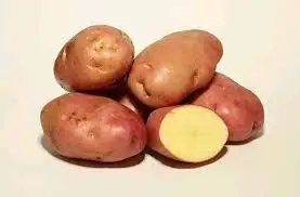 PAPA HOLANDESA DE PRIMERA POR  1/2 KG  / JORGE MOLINA GARCIA