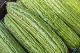 PEPINO CHINO POR  1/2 KG / JORGE MOLINA GARCIA