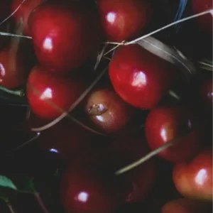 CEREZA POR KG  / JORGE MOLINA GARCIA