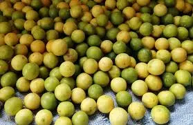 LIMON CAMBITA POR 25 UNIDADES  /  VALLE LA RINCONADA