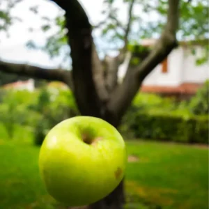 MANZANA VERDE POR UNIDAD  /  VALLE LA RINCONADA