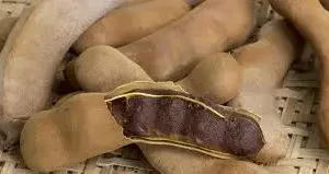 TAMARINDO POR KG  / JORGE MOLINA GARCIA