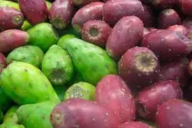 TUNA POR UNIDAD  / JORGE MOLINA GARCIA