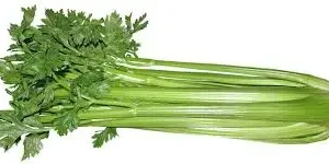 APIO POR  1/2 KG  /  VALLE LA RINCONADA