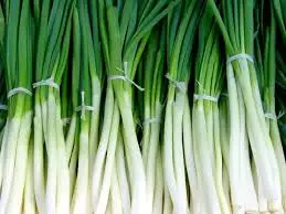 CEBOLLIN POR  1/2 KG  /  VALLE LA RINCONADA