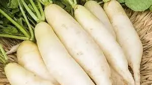 NABO LARGO POR AMARRO  / JORGE MOLINA GARCIA