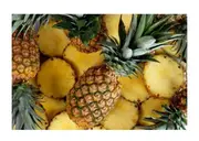 PIÑA DEL CHAPARE PEQUEÑA - 10 UNIDADES/ QUINTA SALUDABLE