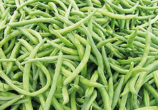 VAINITAS FRESCAS - 5 KG/ QUINTA SALUDABLE