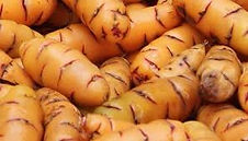 OCA AMARLLA - SUPER  POR GARGA (10 @ APROX ) / MAMA HUASI