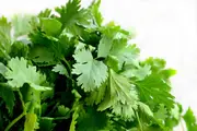 CILANTRO - AMARRO 1KG / Q. SALUDABLE