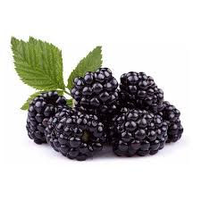 MORA  NEGRA POR 6 KG / RINCONADA