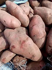 PAPA HOLANDESA CHAPARA POR KG / RINCONADA