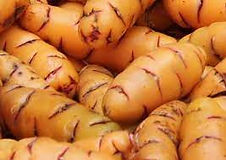 OCA - 5 KG/ QUINTA SALUDABLE